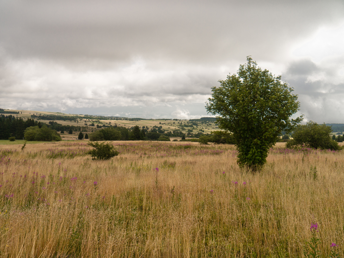 Lange Rhön