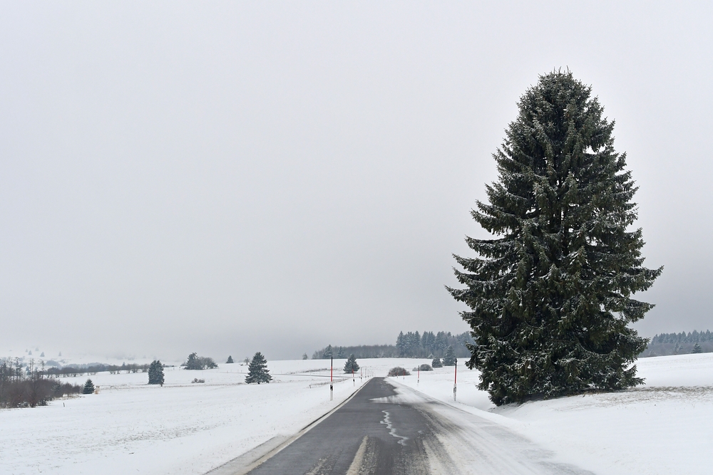 Lange Rhön: Lange verschneit, kalt, windig, aber schön 01