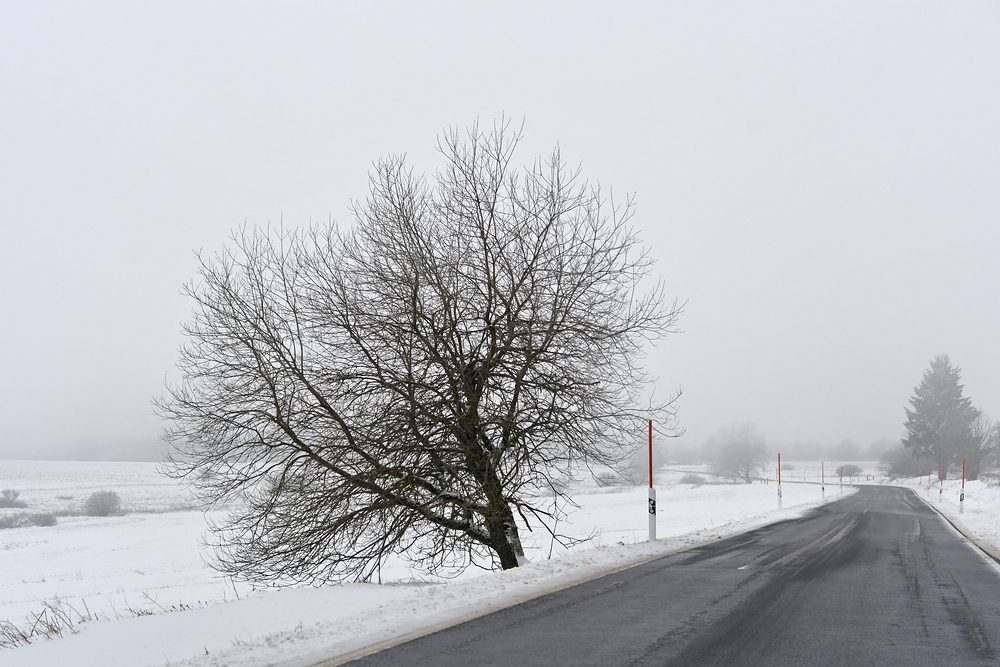 Lange Rhön: Lange verschneit, kalt, windig, aber schön 06