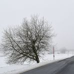 Lange Rhön: Lange verschneit, kalt, windig, aber schön 06