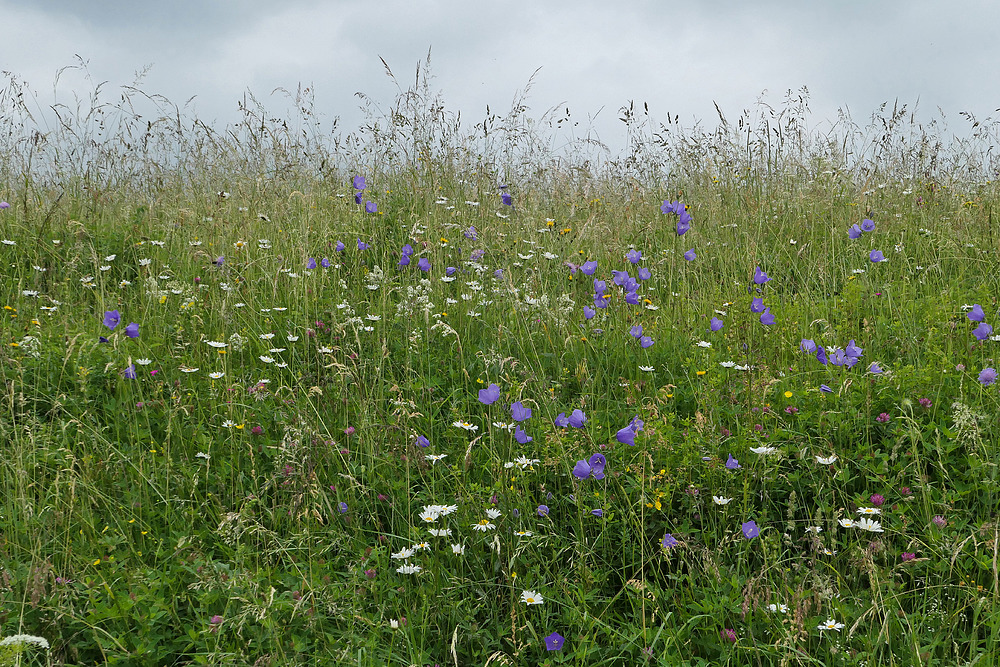 Lange Rhön: Rhön – Glocken