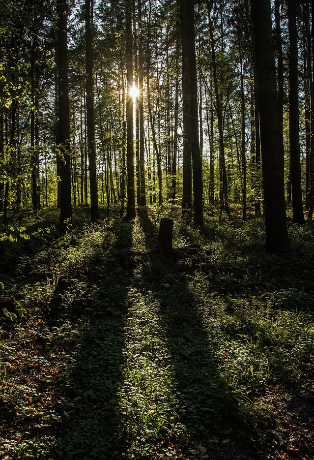 Lange Schatten