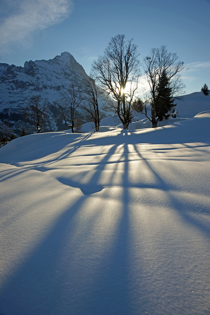 lange Schatten