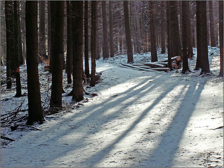 Lange Schatten