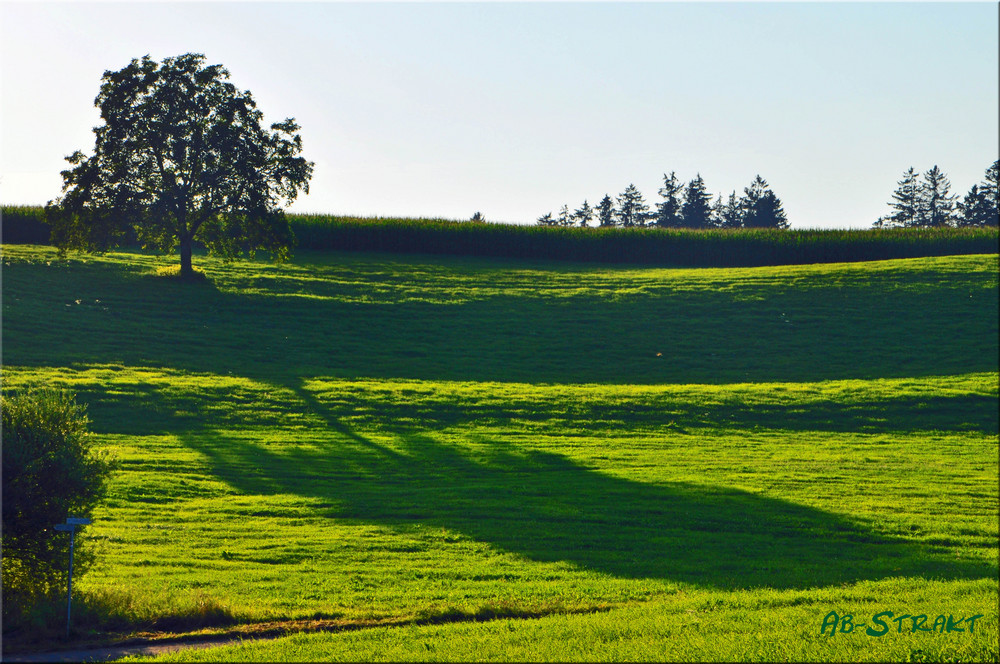 Lange Schatten