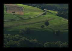 lange Schatten