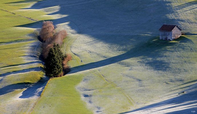 lange Schatten (1166)