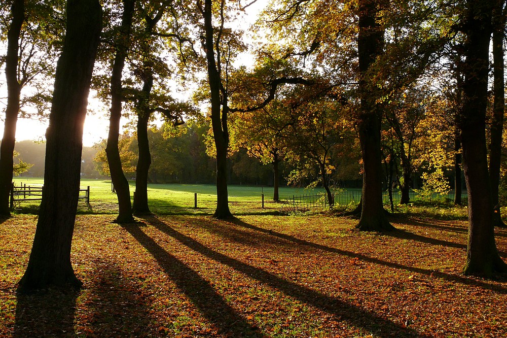 Lange Schatten