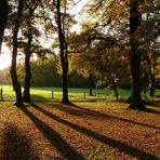 Lange Schatten