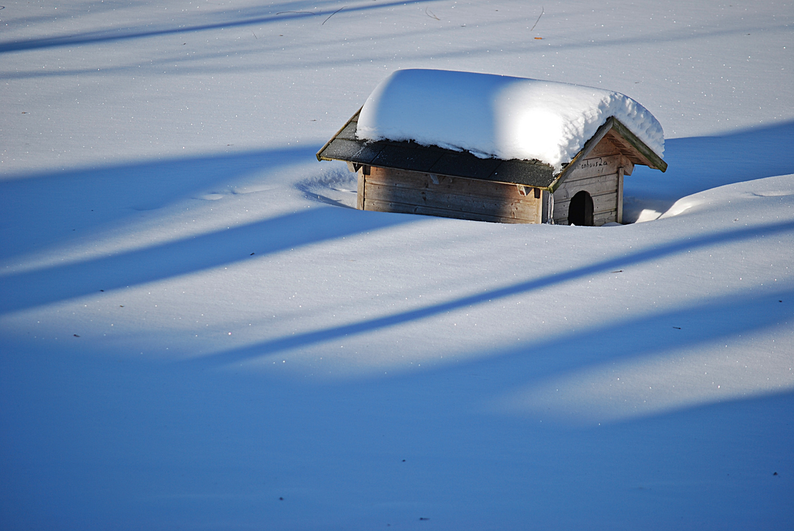 lange Schatten... 2