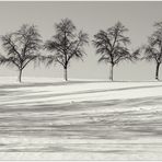 Lange Schatten