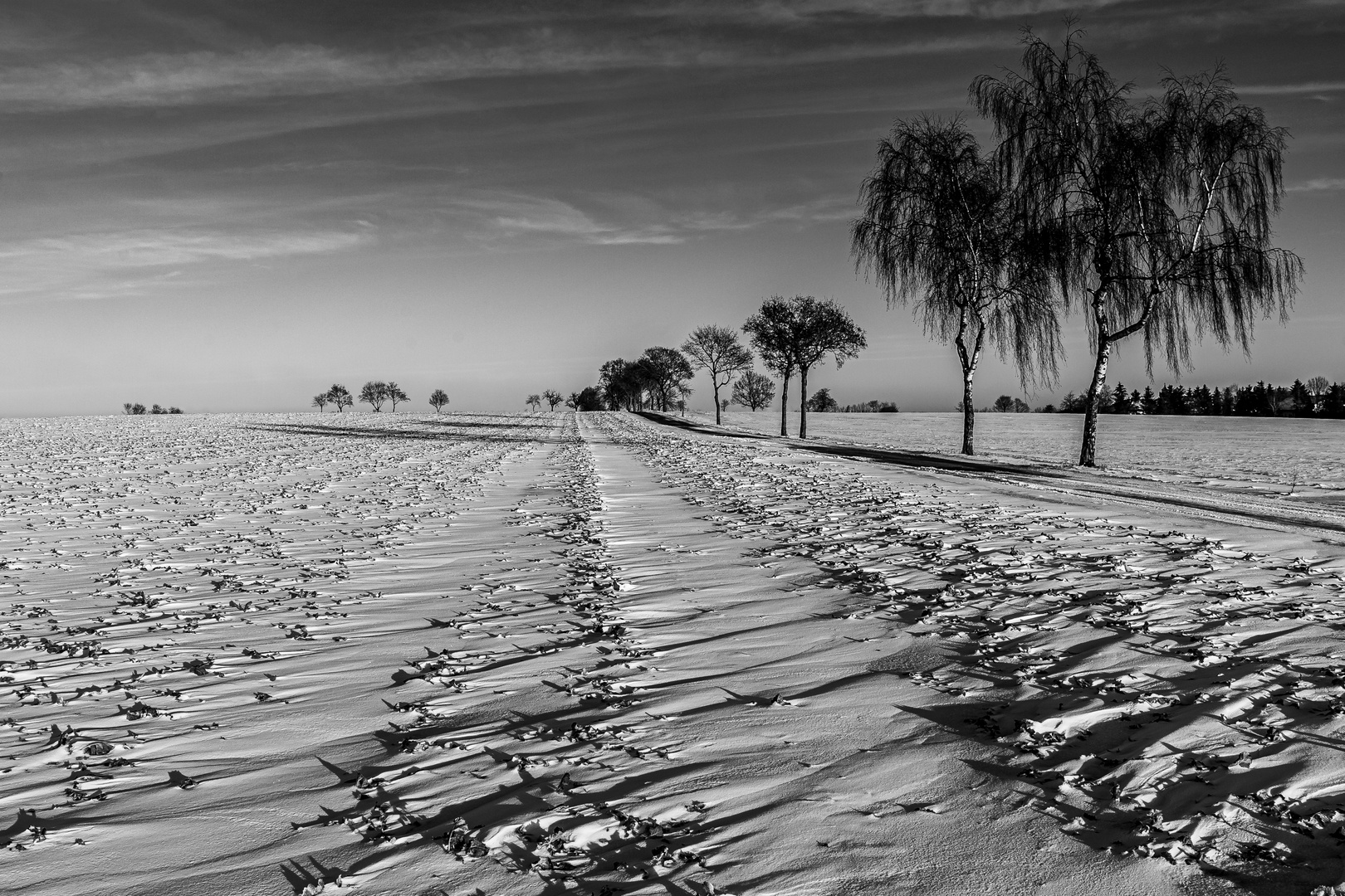 Lange Schatten