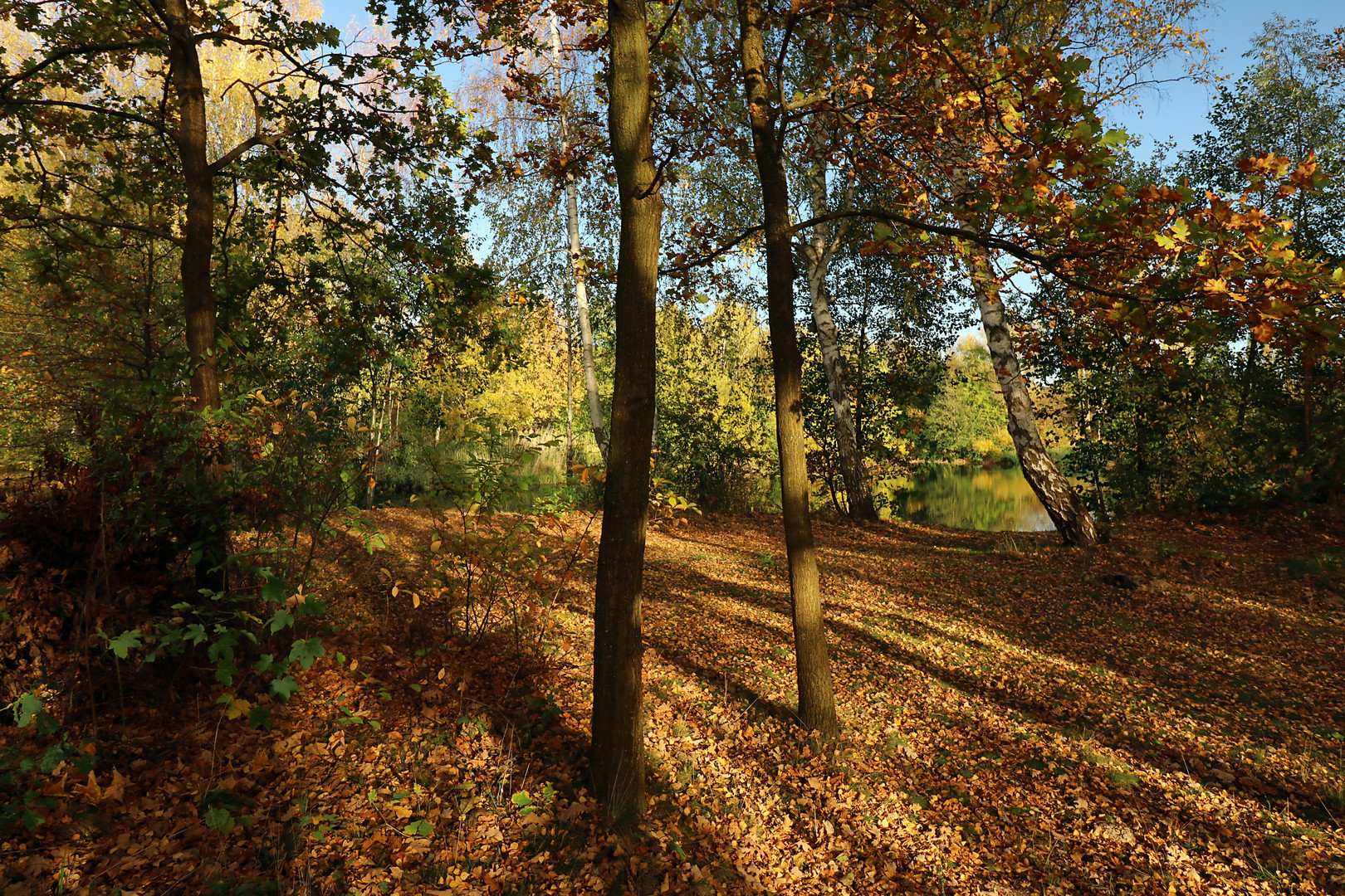 Lange Schatten