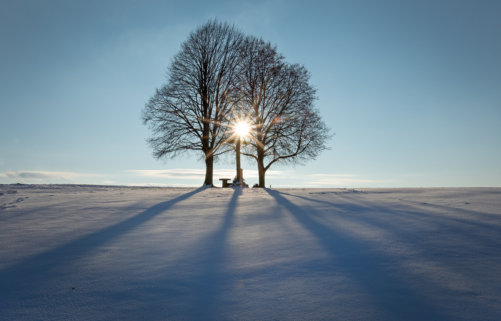 lange Schatten 3