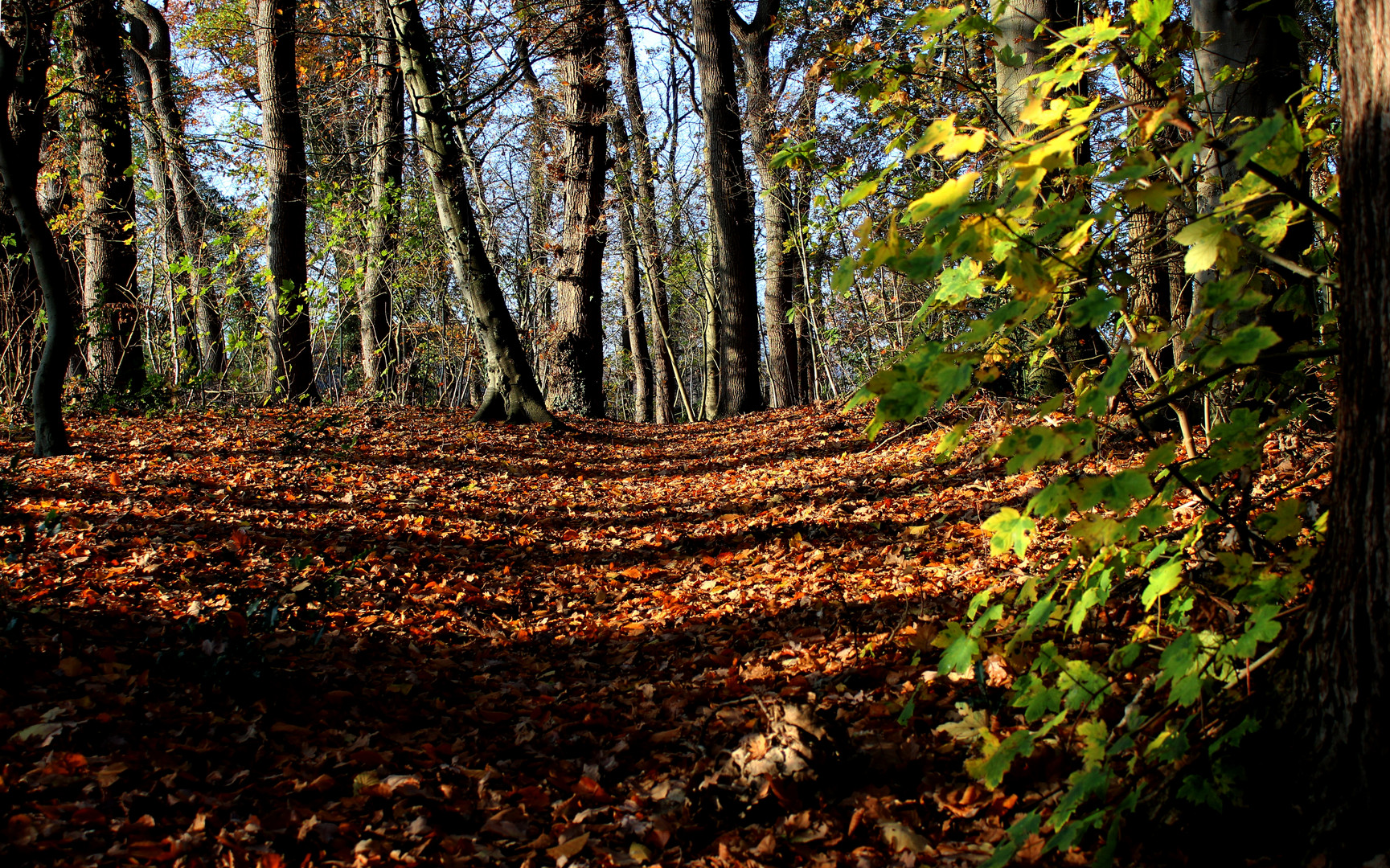 lange Schatten ...