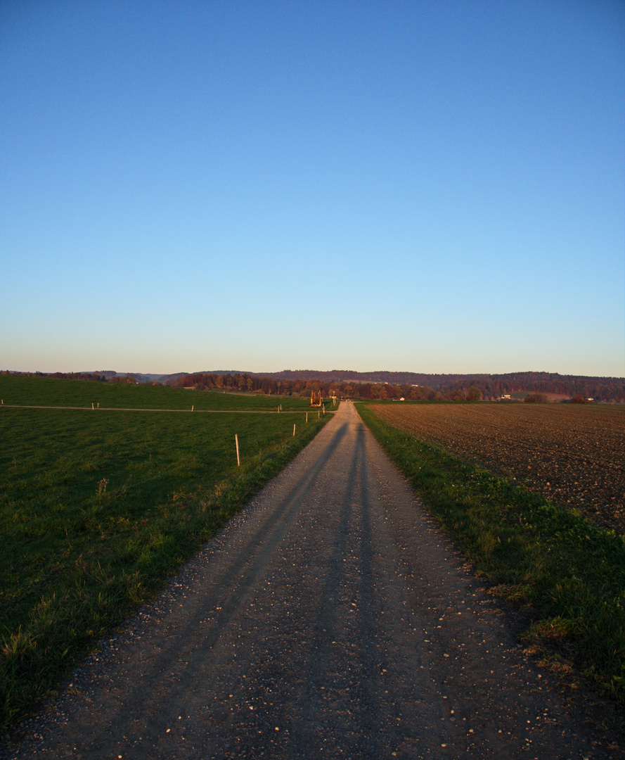 lange Schatten