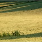 Lange Schatten