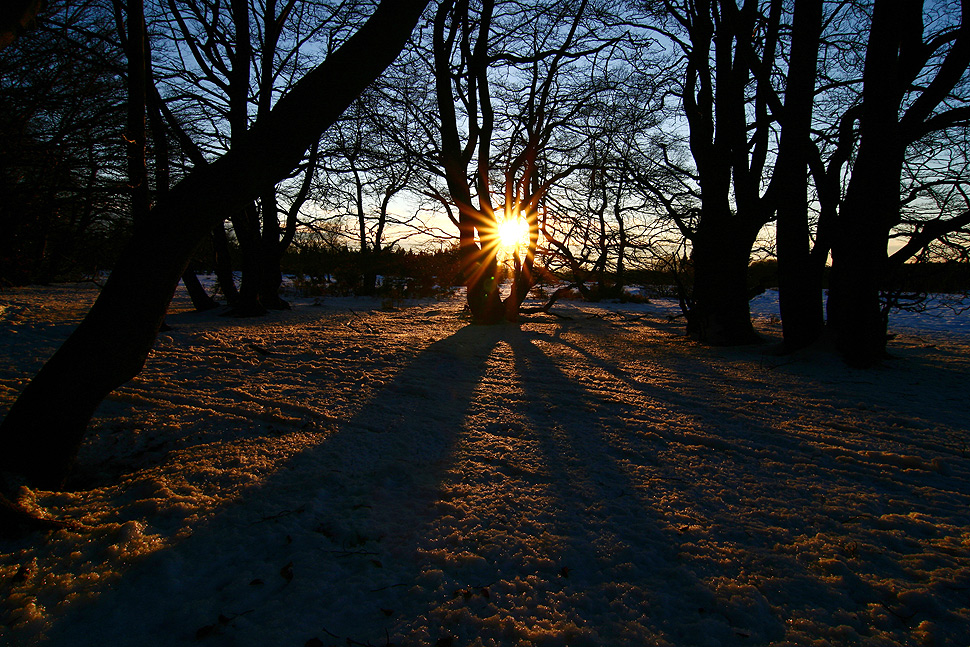 Lange Schatten . . .