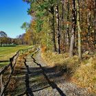 lange schatten