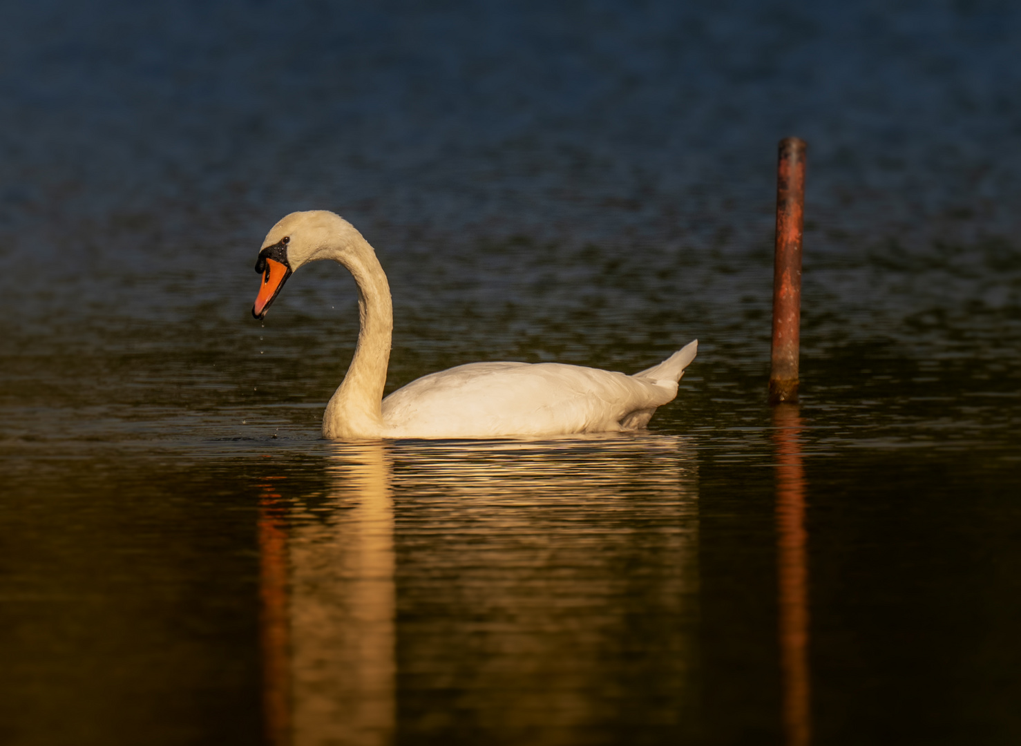 Lange Schatten