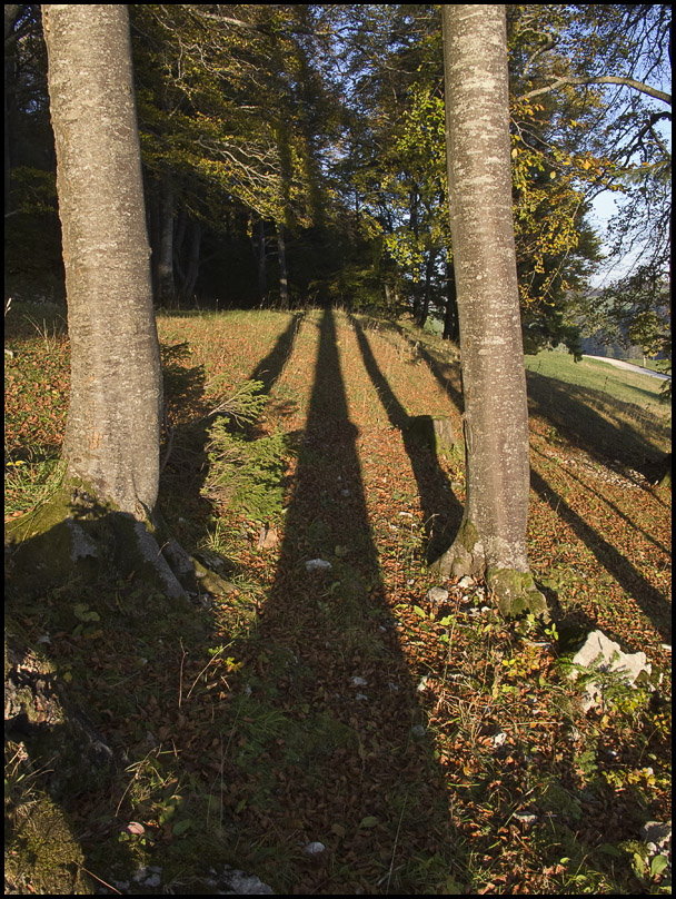 lange Schatten