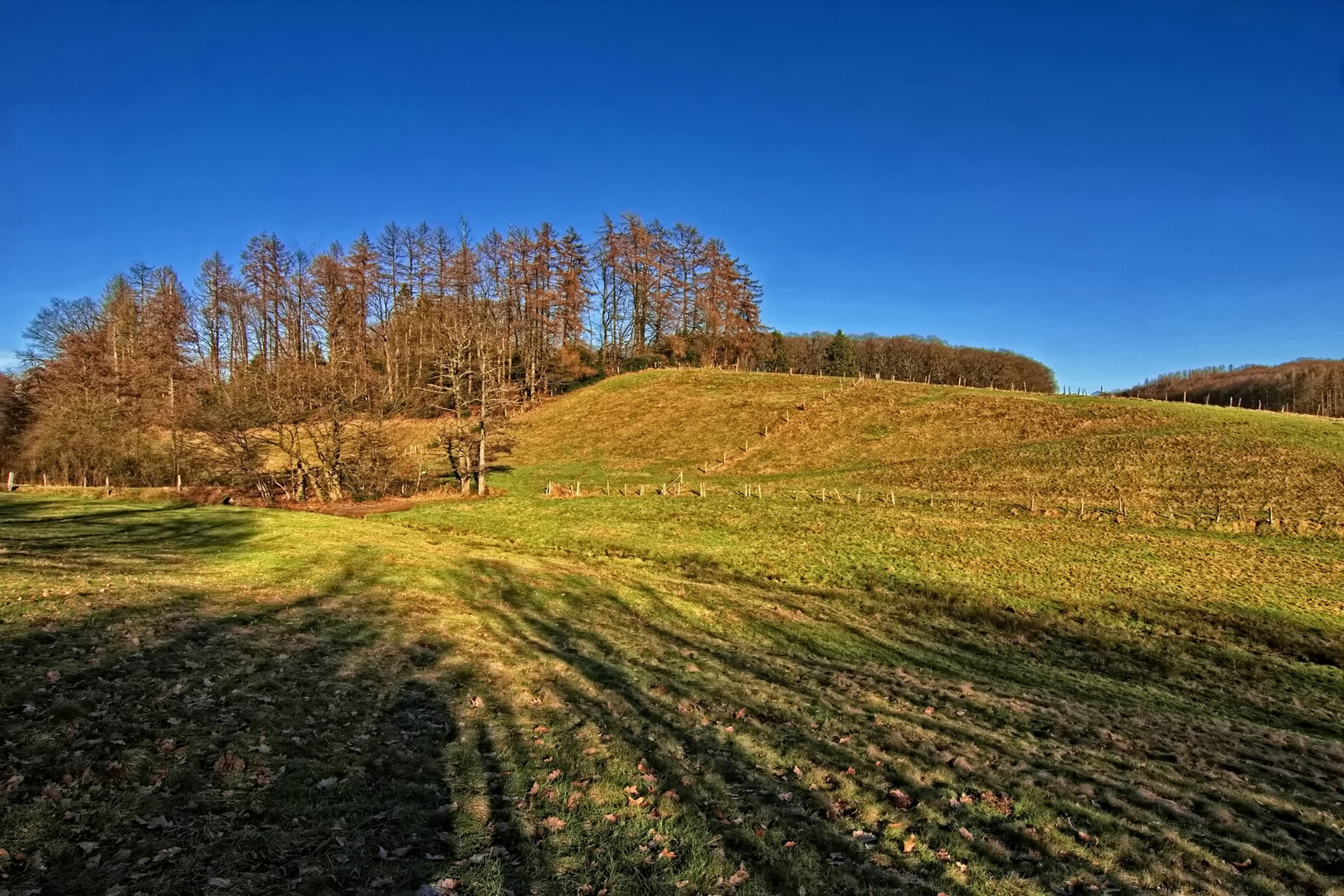 Lange Schatten.