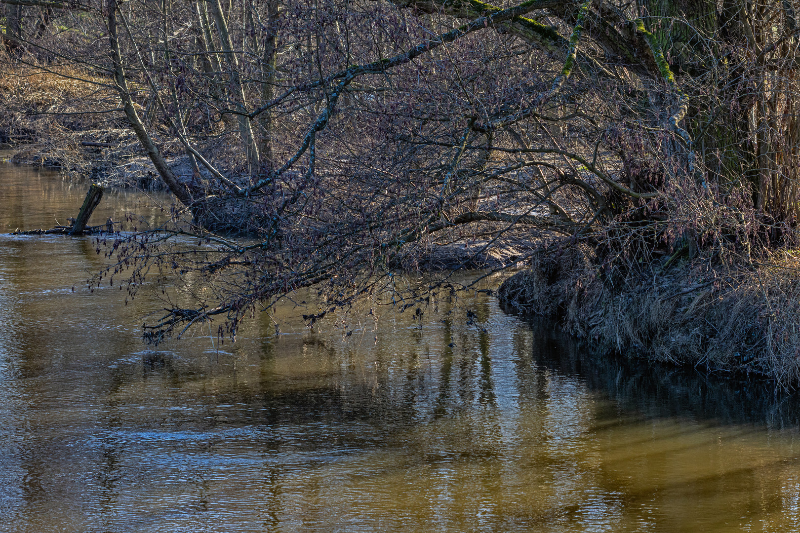 Lange Schatten