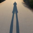 Lange Schatten...................