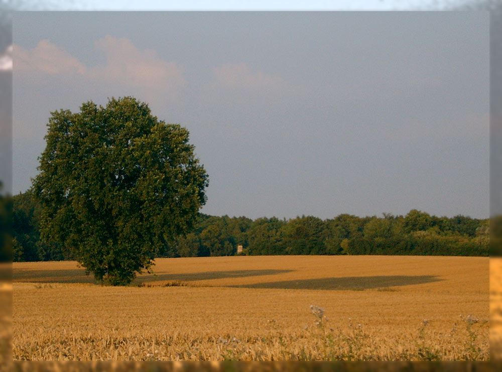 "Lange Schatten"