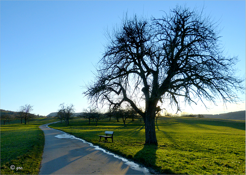 Lange Schatten