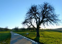 Lange Schatten