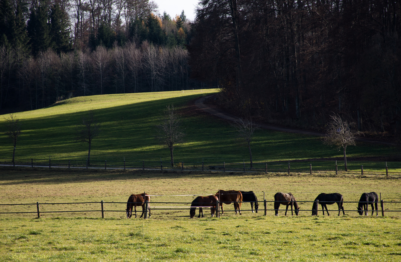 Lange Schatten