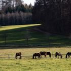 Lange Schatten