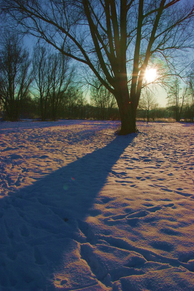 Lange Schatten