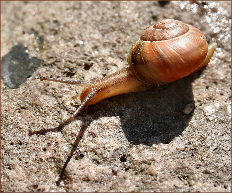 Lange Schatten