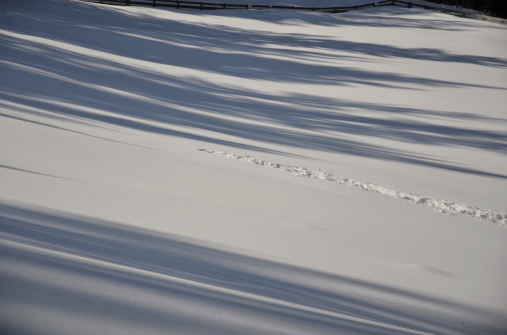 Lange Schatten