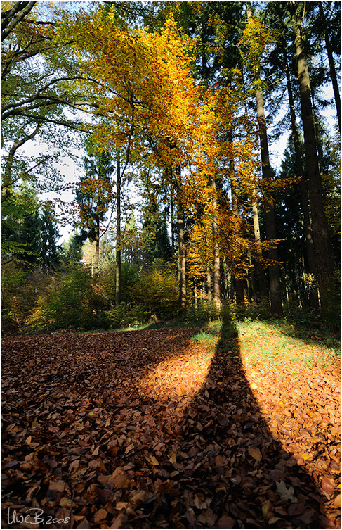 Lange Schatten