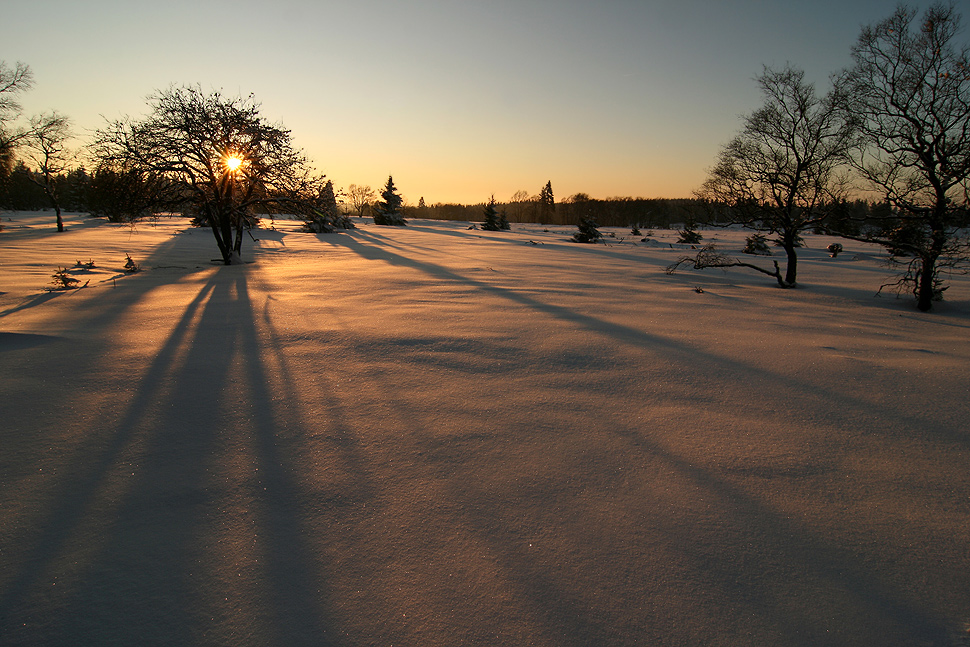 ~ Lange Schatten ~