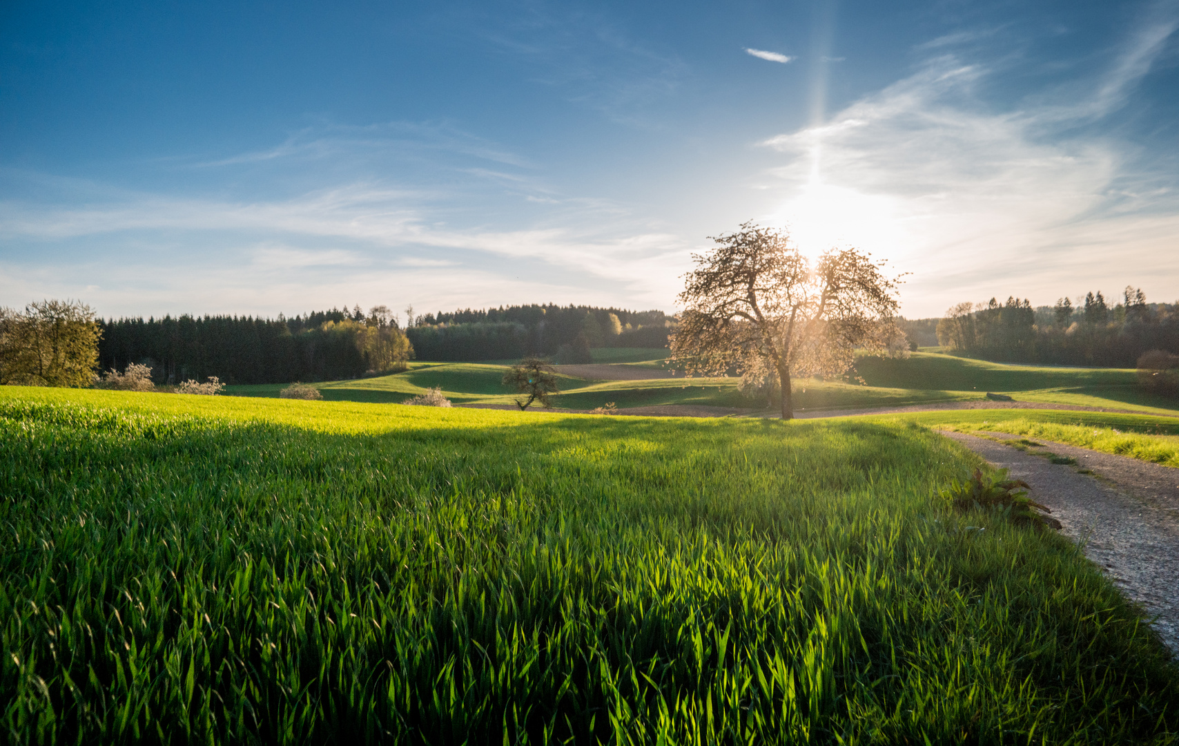 Lange Schatten