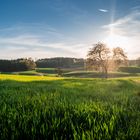 Lange Schatten