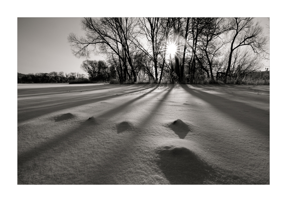 [Lange Schatten]