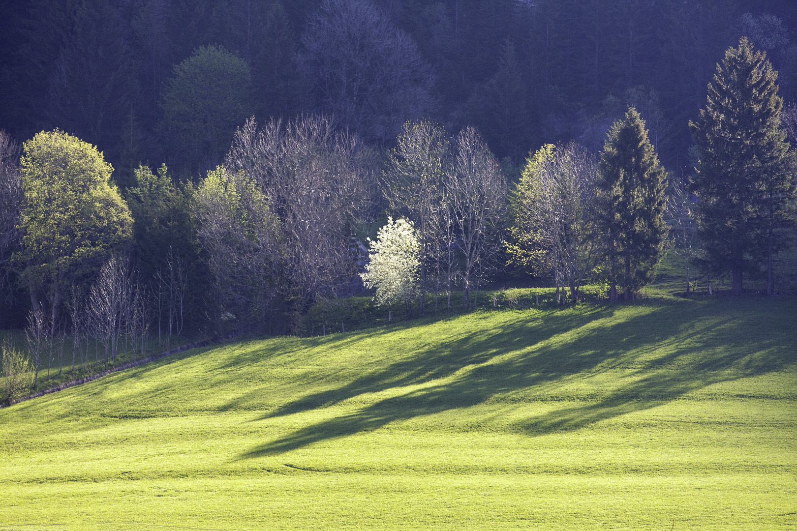 Lange Schatten