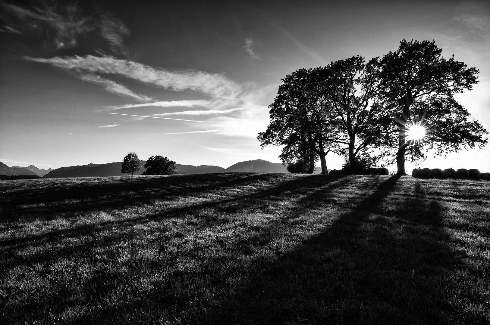 ~~ lange schatten ~~