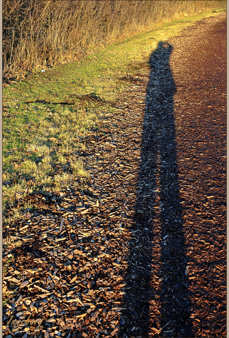 / / lange Schatten / /