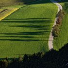 lange Schatten