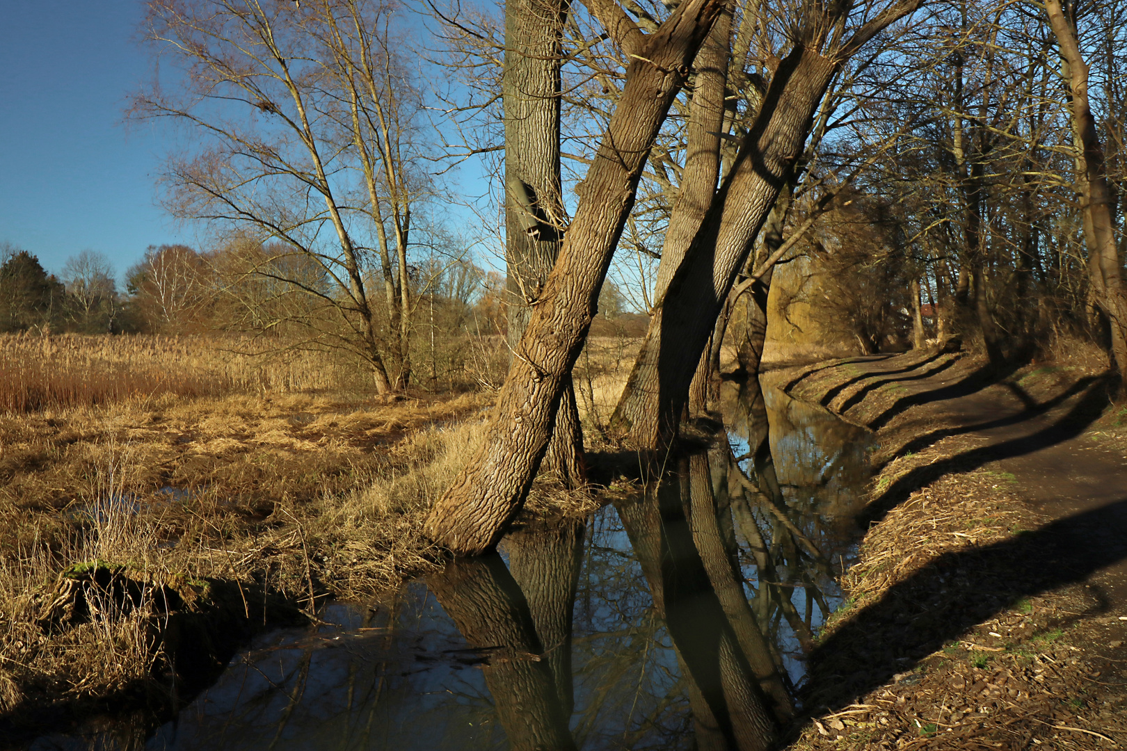 Lange Schatten am Bach