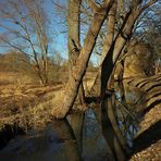 Lange Schatten am Bach