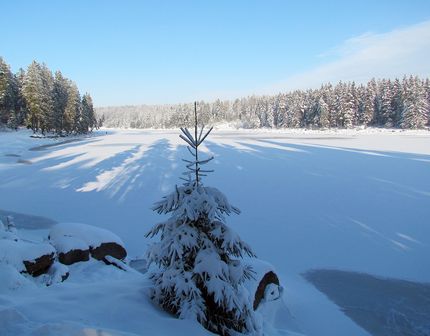 Lange Schatten am Oderteich