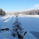 Lange Schatten am Oderteich