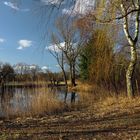 Lange Schatten am Teich